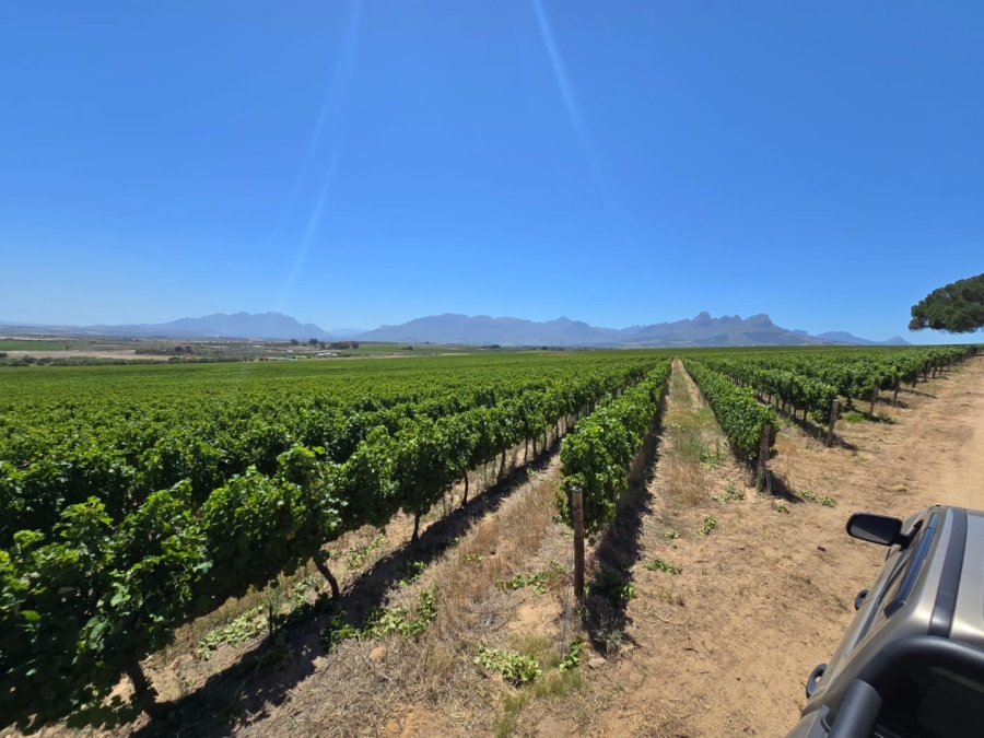 5 Bedroom Property for Sale in Stellenbosch Farms Western Cape